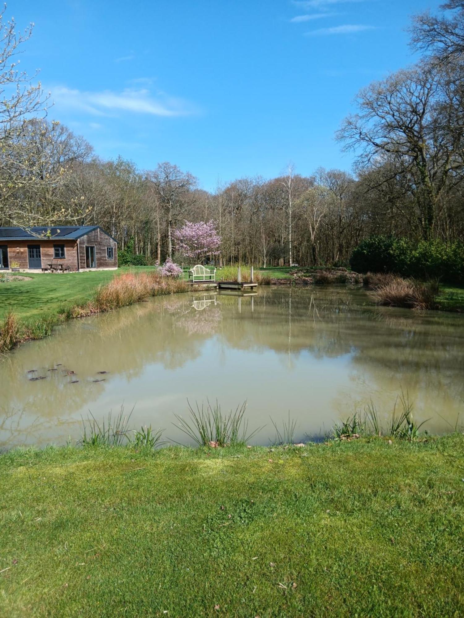 The Barn - Quiet Location Villa Ashford  Exterior foto